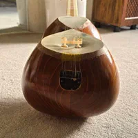 تار حرفه ای|سازهای سنتی|کاشمر, |دیوار