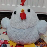 عروسک بچه خروس