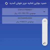 نیاز ب ضامن با رتبه اما یاB
