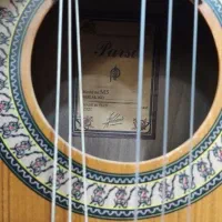 گیتار M5|گیتار، بیس، امپلیفایر|شوشتر, |دیوار