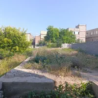 زمین-کلنگی