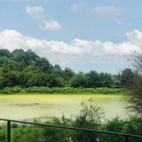 اجاره سوئیت جنگلی|اجارهٔ کوتاه‌مدت آپارتمان و سوئیت|لاهیجان, آهندان|دیوار