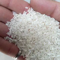 نیمدانه هاشمی محلی 240