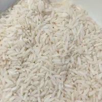 برنج بینام کشت دوم|خوردنی و آشامیدنی|بابل, |دیوار