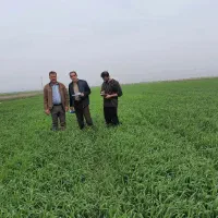 اجرا پیمانکاری کشاورزی و باغداری
