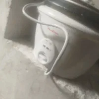 بخار پز مولینکس