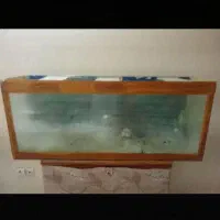 اکواریوم سالم بدون شکستگی|ماهی|کرج, گلشهر|دیوار