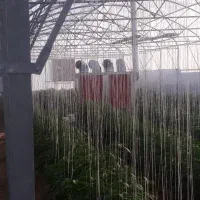 هیتر گرمایشی