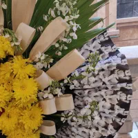 تاج گل|گل و گیاه طبیعی|تهران, جوادیه تهرانپارس|دیوار