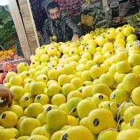 استخدام نیرو میوه فروشی