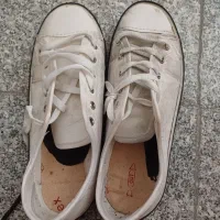 وسایل خونه لوستر کفش کمد میزتلویزیون|لوستر و چراغ آویز|سمنان, |دیوار