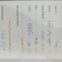 حنا ( پاکوتاه)|سگ|گرگان, |دیوار