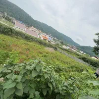 فروش-زمین-در-بافت-مسکونی-چهار-دیوار-سند-تک-برگ