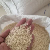 برنج کشت اول فریدون کنار شمال|خوردنی و آشامیدنی|شیراز, تاچارا|دیوار