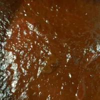 رب انار ترش