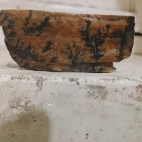 سنگ شجر 700تومان