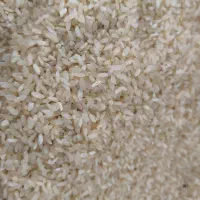 برنج کامفیروز