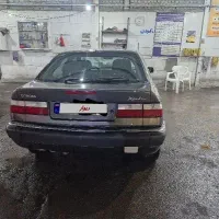 زانتیا خانگی