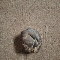 شهاب سنگ|جواهرات|علی‌آباد کتول, |دیوار