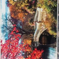 تابلو فرش کاملا نو ..اندازه ۵۰ در ۷۰