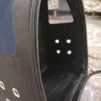 باکس (کیف) گربه|لوازم جانبی حیوانات|تهران, والفجر (افسریه)|دیوار