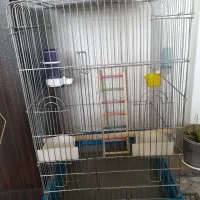قفس بزرگ و کوچیک و لوازم جانبی