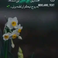 و. ا. م.
