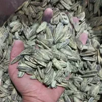 تخمه گل آفتاب پیاز جعفری ۶۳۰.۰۰۰