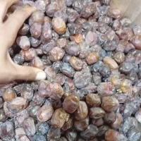 خرمای خاصویی