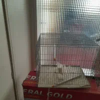 قفس با وسیله اش|لوازم جانبی حیوانات|تهران, فرزانه|دیوار