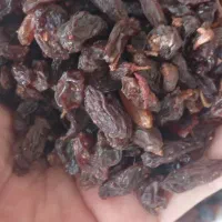 کشمش|خوردنی و آشامیدنی|تهران, بریانک|دیوار