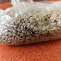 لوبیا چشم بلبلی|خوردنی و آشامیدنی|محمدشهر, شهرک چمران|دیوار