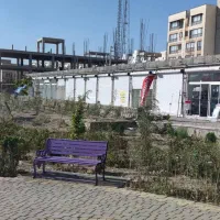 فاز هشت