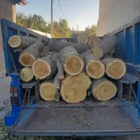 خریدار انواع چوب هیزمی زغالی ریشه درخت|خدمات باغبانی و درختکاری|آبیک, |دیوار