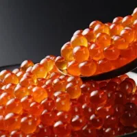 اشپل ماهی سالمون