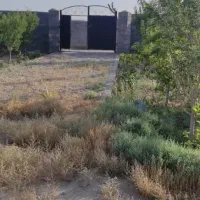. قطعات ۵۰۰ متری دور دیوار با درخت
