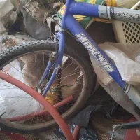 دوچرخه|دوچرخه، اسکیت، اسکوتر|تربتحیدریه, مظفریه|دیوار