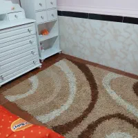 فرش ۴ متری|فرش|سنندج, |دیوار