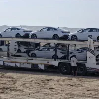 النترا فول و الیت منطقه آزاد قصرشیرین