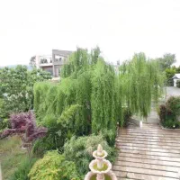 کد۶/ ویلا دوبلکس نماسنگ ویو جنگل وکوه / همصفا|فروش خانه و ویلا|امامزاده عبدالله, |دیوار