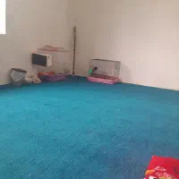 مرغ مینا سخنگو