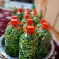 محصولات خانگی|خوردنی و آشامیدنی|کرج, بنیاد|دیوار