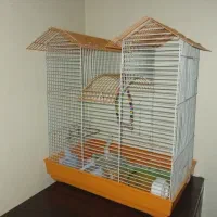 عروس هلندی. قناری.مرغ عشق .قفس لوازم کامل