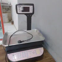 نو نو|فروشگاه و مغازه|گلبهار, شهر جدید گلبهار|دیوار