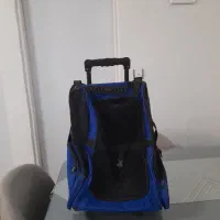 ترولی سگ|کیف، کفش، کمربند|رشت, جهاد|دیوار