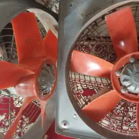 دو عدد فن نو