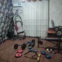 میزبدنسازی وهالترووزته