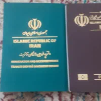 راننده پایه یک هستم