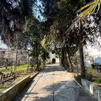 اجاره روزانه ویلا باغ ۴ خواب دربست نزدیک ساحل