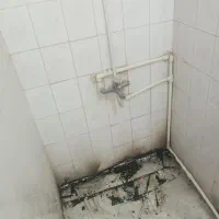 تعمیرات سرویس بهداشتی حمام و نقاشی ساختمان|خدمات پیشه و مهارت|اندیشه, اندیشه فاز ۳|دیوار